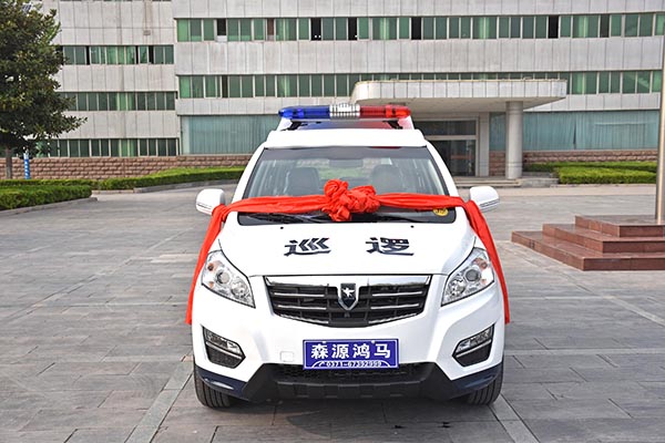 青海SUV电动巡逻车发车(图2)