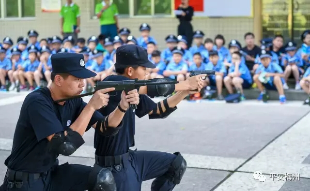 登移动警务车、学交通安全知识、看特警战术表演……“小特警”夏令营真过瘾(图4)