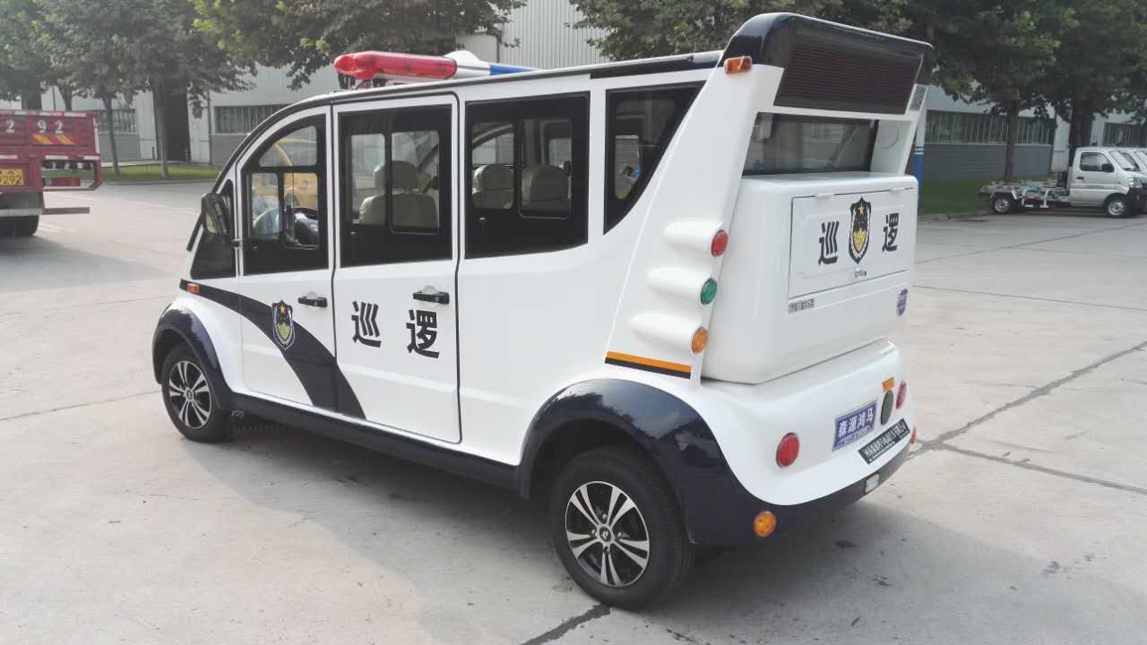 新郑市遂成药业采购电动巡逻车(图4)