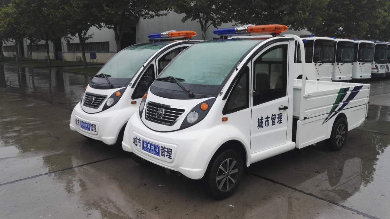 郑州二七区电动巡逻车发车(图3)