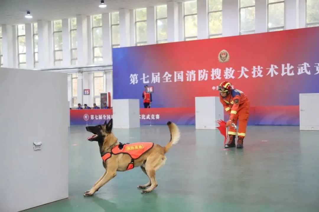 搜救犬的新座驾——搜救犬运输车+方舱(图1)